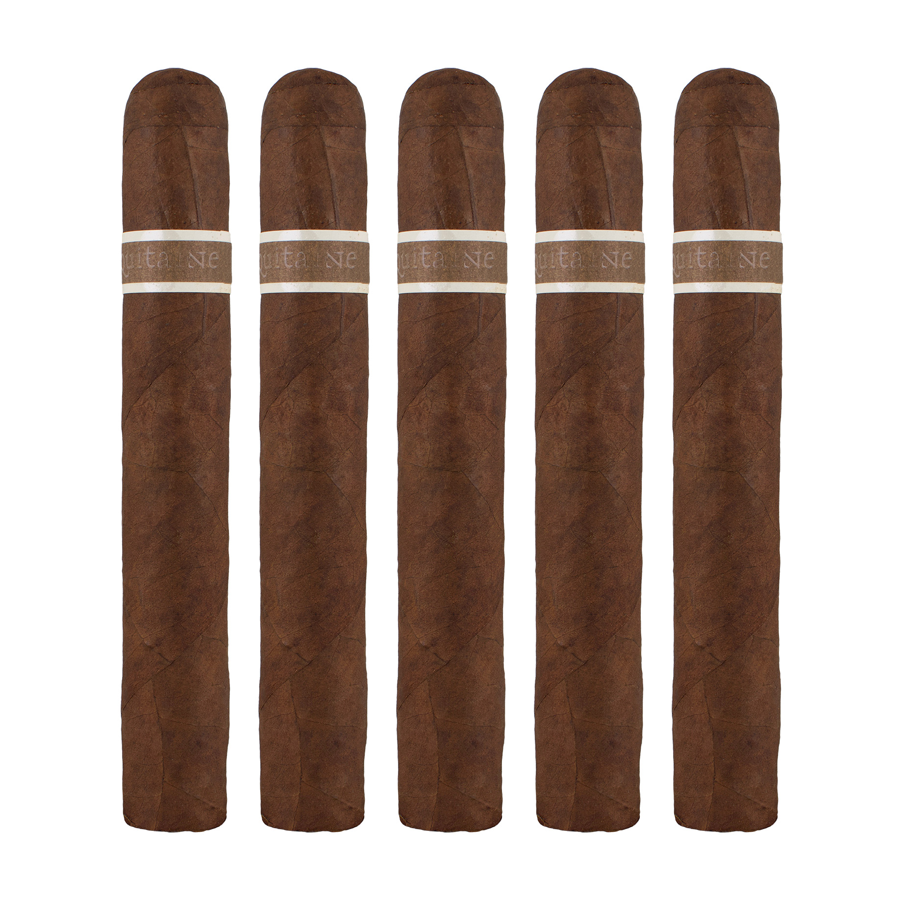 Aquitaine Cranium Gran Toro Cigar - 5 Pack